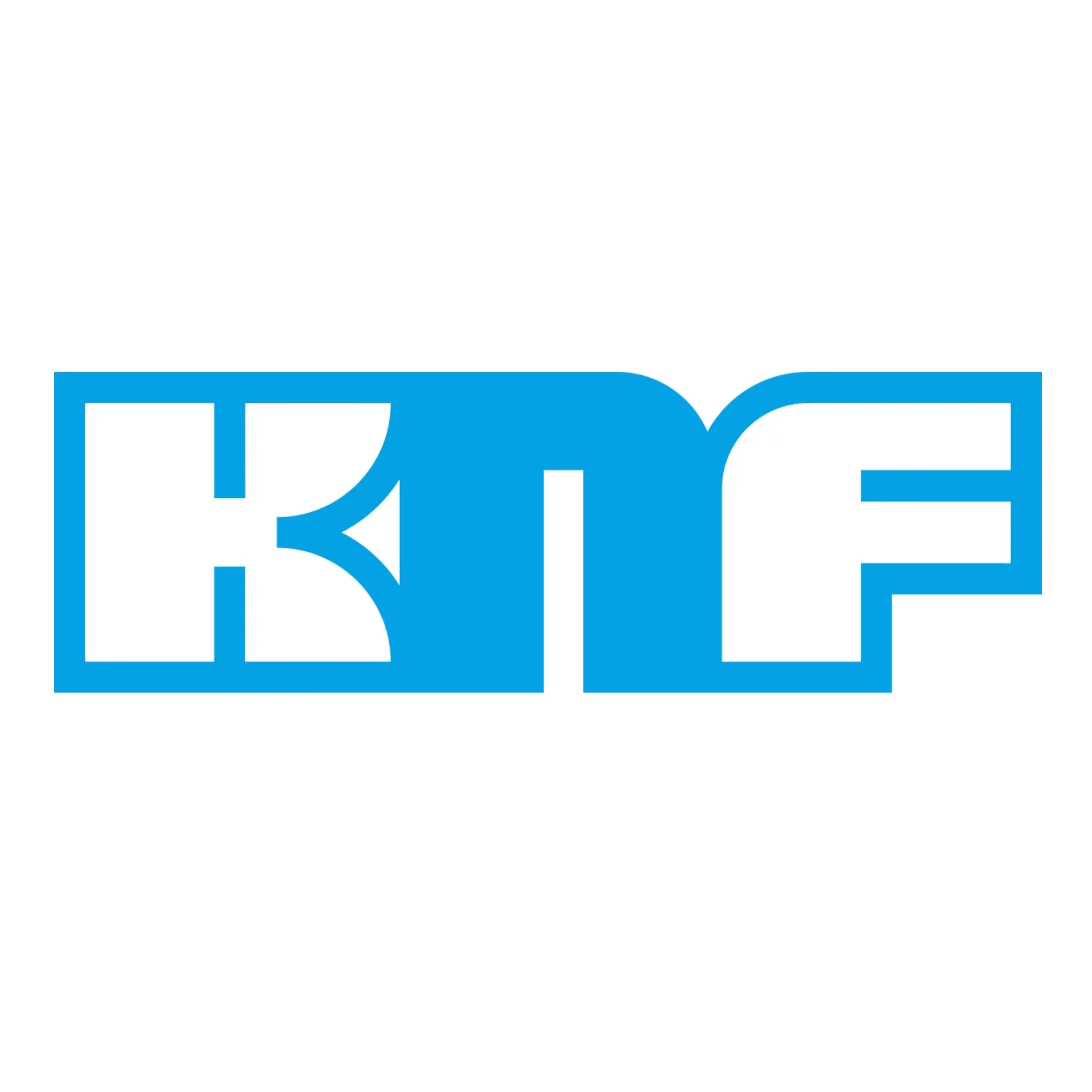 Pulsation Damper FPD KNF
