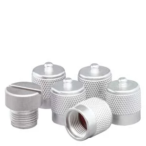 SIMATIC RF600 Protective Cap Set 6GT2898-4AA10